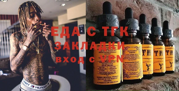 индика Иннополис