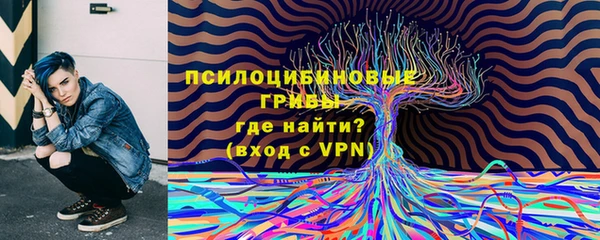 скорость Инта