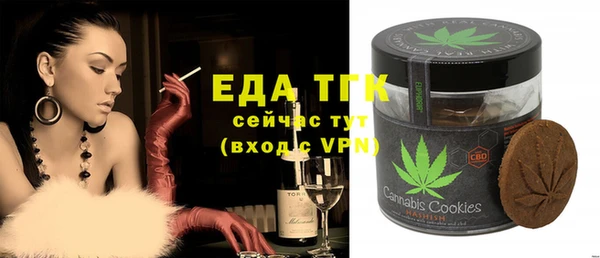 индика Иннополис