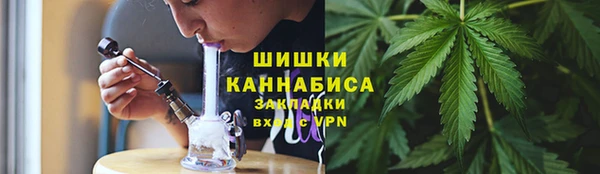 индика Иннополис